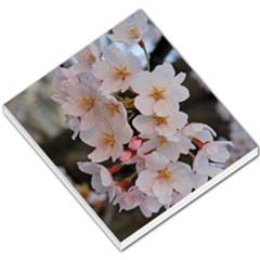 Sakura Small Memo Pads