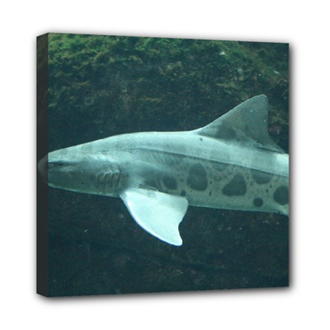 Leopard Shark Multi Function Bag	