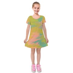 Paint-19 Kids  Short Sleeve Velvet Dress