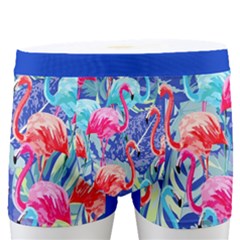 Flamingo Men s Boxer Briefs