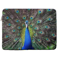 Peacock Bird Feathers Pheasant Nature Animal Texture Pattern 17  Vertical Laptop Sleeve Case With Pocket