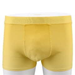 Amber Orange To Cream Yellow Linear Gradient Men s Boxer Briefs