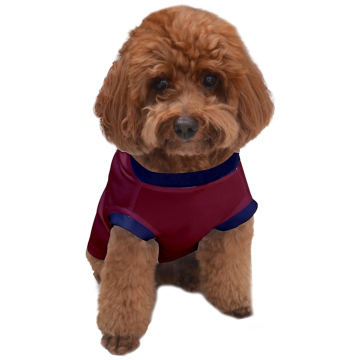 Custom All You Need is a Dog Name Any Text Dog T-Shirt