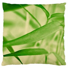 Bamboo Large Cushion Case (single Sided) 