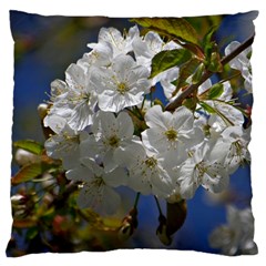 Cherry Blossom Large Cushion Case (single Sided) 