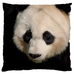 Adorable Panda Large Cushion Case (single Sided) 