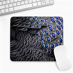 Feather Bird Bird Feather Nature Large Mousepads
