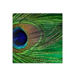 Peacock Feather Macro Peacock Bird Satin Bandana Scarf