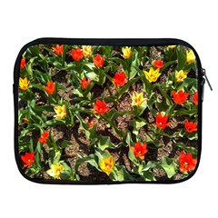 Tulips In April Apple Ipad 2/3/4 Zipper Cases