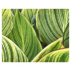 Leaves Striped Pattern Texture Double Sided Flano Blanket (medium) 