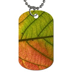 Leaf Autumn Fall Season Macro Dog Tag (one Side)