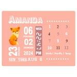 Personalized Baby Information Gift Two Sides Premium Plush Fleece Blanket (Baby Size) 40 x30  Blanket Front