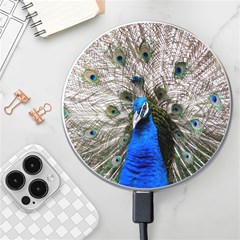 Peacock Bird Animal Feather Nature Colorful Wireless Fast Charger(white)