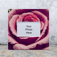 Beautiful Beauty Flower Bloom White Box Photo Frame 4  X 6 