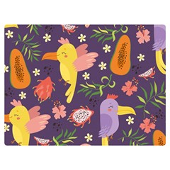 Exotic-seamless-pattern-with-parrots-fruits Two Sides Premium Plush Fleece Blanket (extra Small)