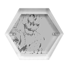 Butterfly Dreams, Bonito, Butterfly, Dream, Flower, Girly Hexagon Wood Jewelry Box