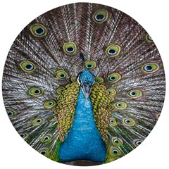 Peacock-feathers2 Wooden Bottle Opener (round)
