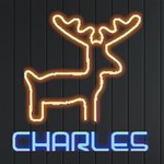 Personalized Christmas Deer Name Neon Signs and Lights Front