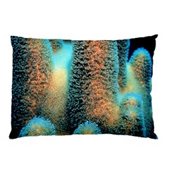 Photo Coral Great Scleractinia Pillow Case (two Sides)