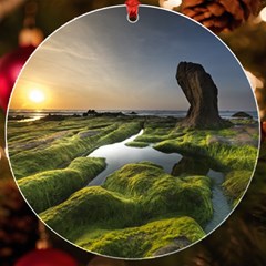 Coast Algae Sea Beach Shore Uv Print Acrylic Ornament Round