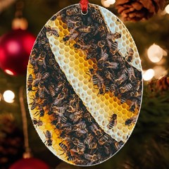 Yellow And Black Bees On Brown And Black Uv Print Acrylic Ornament Oval
