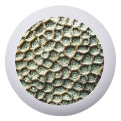 Ocean Pattern Dento Box With Mirror