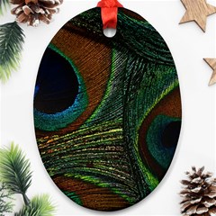 Peacock Feathers, Feathers, Peacock Nice Ornament (oval)