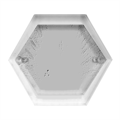 White Feathers, Animal, Bird, Feather, Peacock Hexagon Wood Jewelry Box