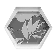 Eaves, Mate, Pink, Purple, Stock Wall Hexagon Wood Jewelry Box