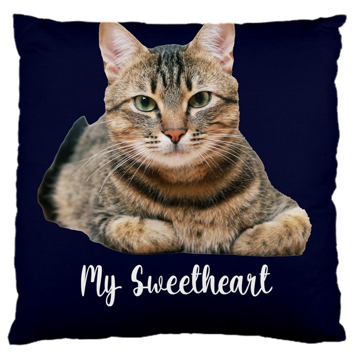 Personalized Photo Any Text Large Cushion 16  Baby Flannel Cushion Case (Two Sides)