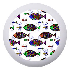 Fish Abstract Colorful Dento Box With Mirror