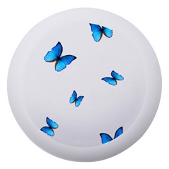 Butterfly-blue-phengaris Dento Box With Mirror