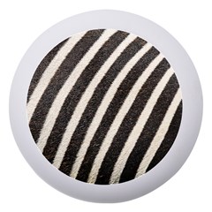 Zebra Zebra Pattern Zebra Fur Zebra Print Strip Dento Box With Mirror
