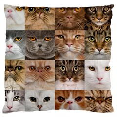Breeds Of Cats Collage 16  Baby Flannel Cushion Case (two Sides)