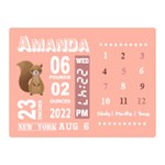 Personalized Baby Information Gift Two Sides Premium Plush Fleece Blanket (Mini) 35 x27  Blanket Front