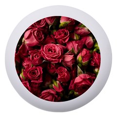 Floral Buds Of Roses Beautiful Flowers Dento Box With Mirror