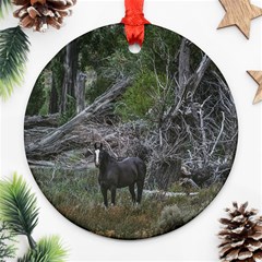 Meadow Landscape, Los Altares, Chubut Province, Argentina Round Ornament (two Sides)